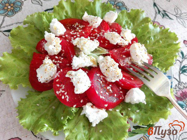 фото рецепта: Свежий салат с творожным сыром и помидорами