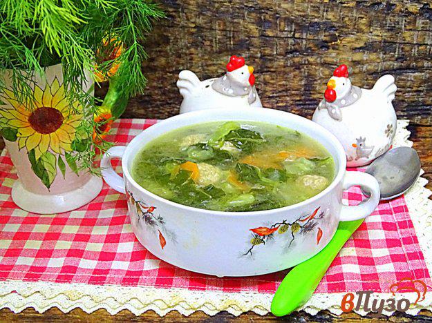 фото рецепта: Суп овощной летний с фрикадельками