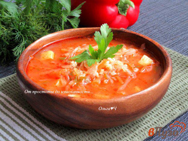 фото рецепта: Крчик - армянский суп из квашеной капусты