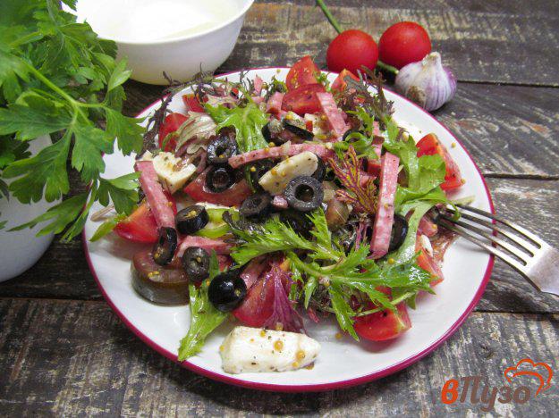 фото рецепта: Итальянский салат с салями и моцареллой