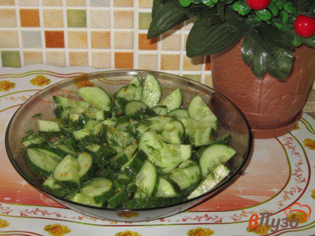 фото рецепта: Салат из огурцов с укропом и дижонской горчицей