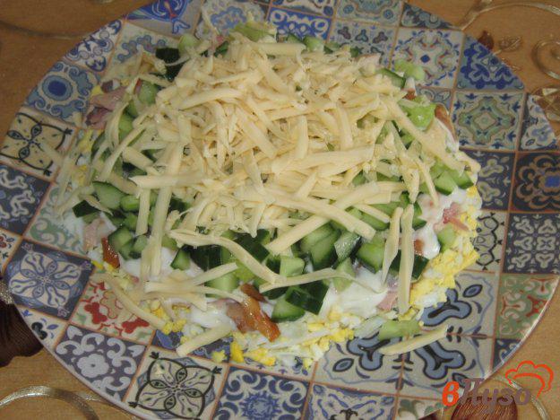 фото рецепта: Слоеный салат  с сыром и копченой курицей