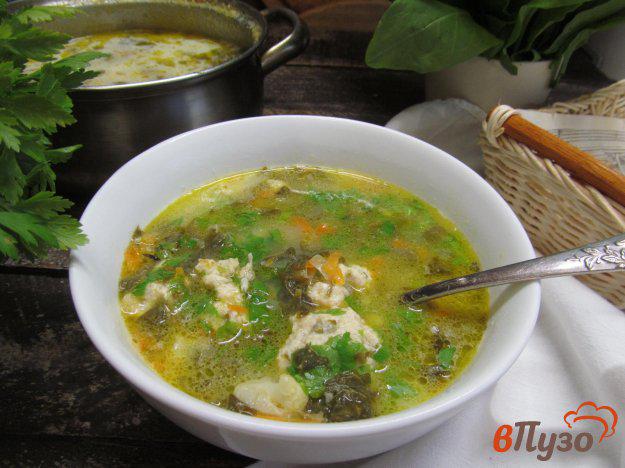 фото рецепта: Суп с цветной капустой щавелем и фрикадельками
