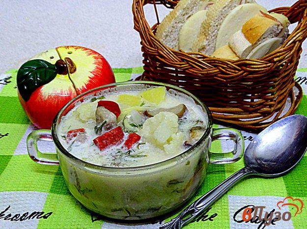 фото рецепта: Суп с белыми грибами и цветной капустой