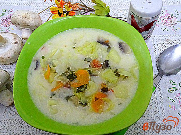 фото рецепта: Суп с плавленым сыром, грибами и овощами