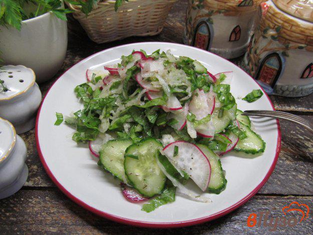 фото рецепта: Салат из редиски с капустой кольраби