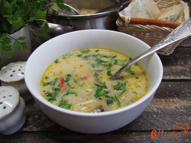 фото рецепта: Тайский кокосовый суп