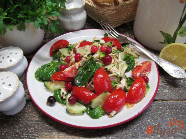 фото рецепта: Овощной салат с клюквой и индейкой