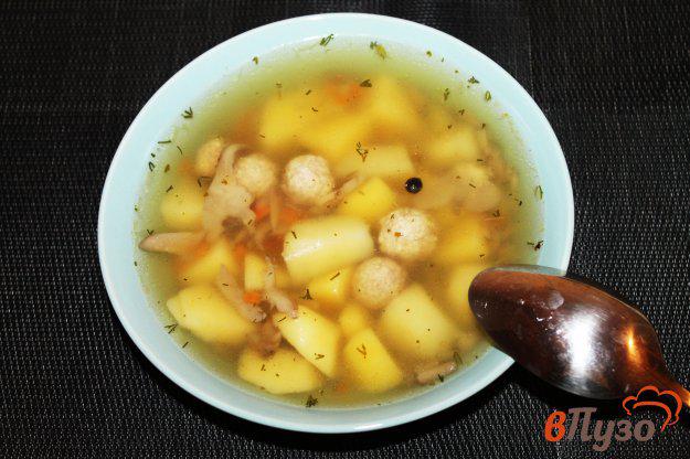фото рецепта: Суп с вешенками и фрикадельками на мясном бульоне