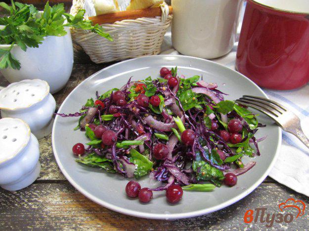 фото рецепта: Салат из краснокочанной капусты со шпинатом и красной смородиной