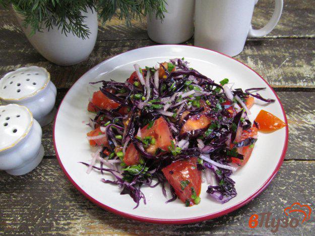 фото рецепта: Салат из красной капусты с помидором редькой