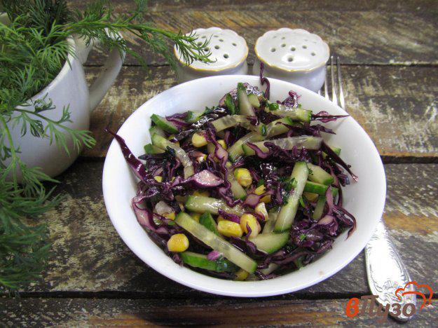фото рецепта: Салат из красной капусты и огурца