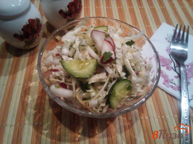 фото рецепта: Салат из пекинской капусты, огурца и редиски