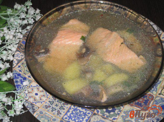 фото рецепта: Суп из хребтов семги скукурузой
