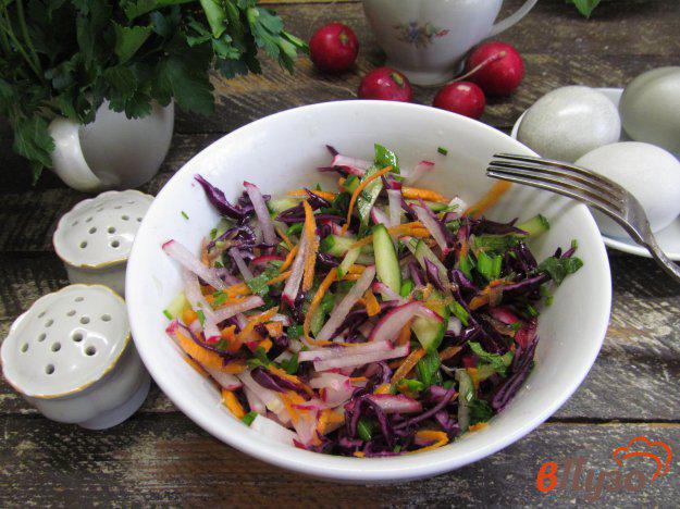 фото рецепта: Салат из красной капусты с редиской и розмарином