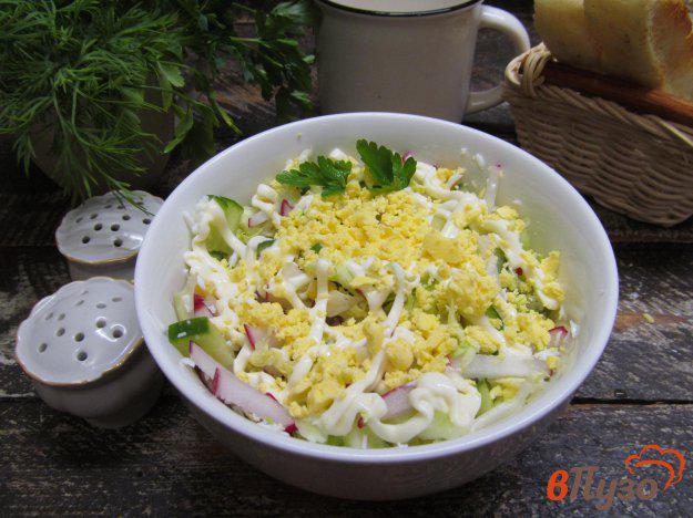 фото рецепта: Капустный салат «Весеннее утро»