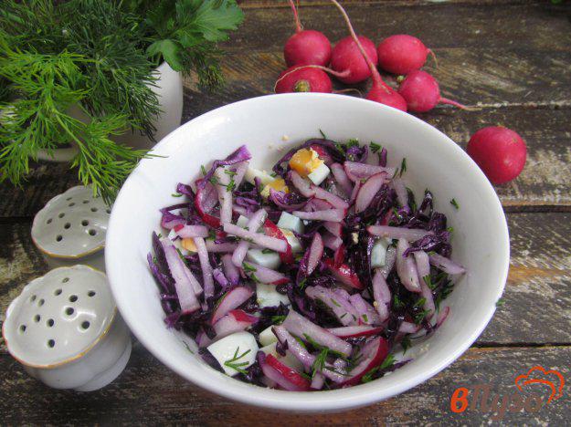 фото рецепта: Салат из красной капусты с редисом