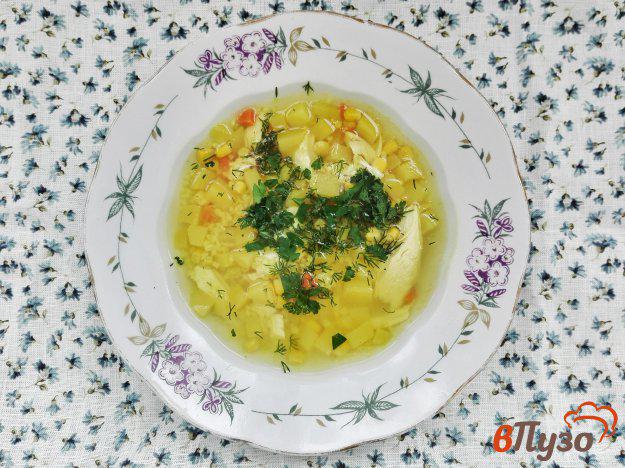 фото рецепта: Суп с пшеном и кукурузой