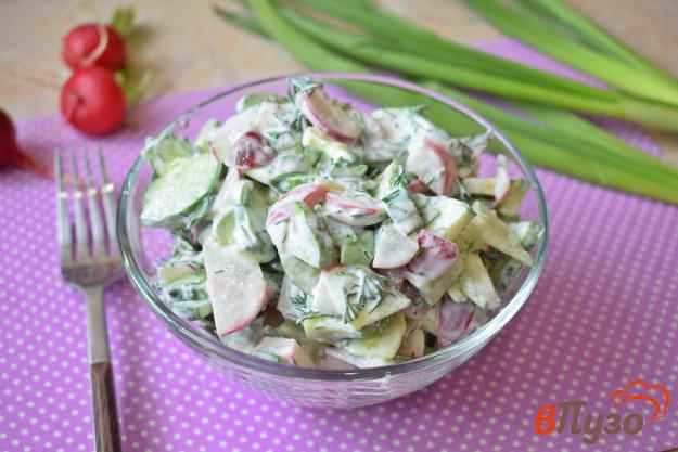 фото рецепта: Весенний салат из овощей с редисом