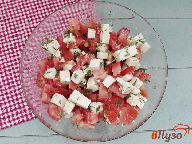 фото рецепта: Салат из помидоров с творожным сыром