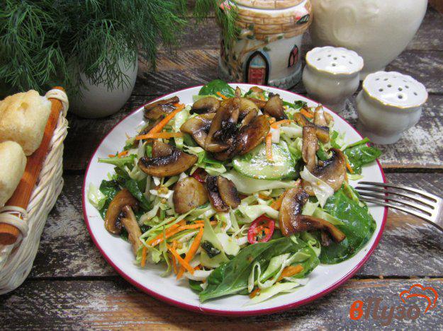 фото рецепта: Салат из молодой капусты с грибами