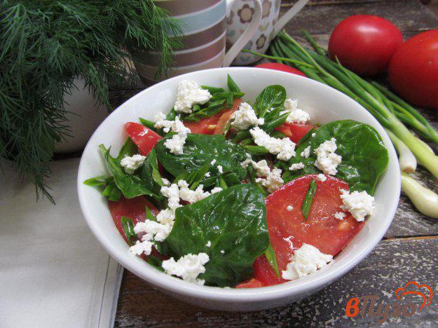 фото рецепта: Салат из помидоров с творогом