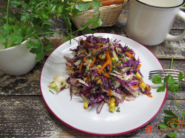 фото рецепта: Азиатский салат из капусты с кунжутной заправкой