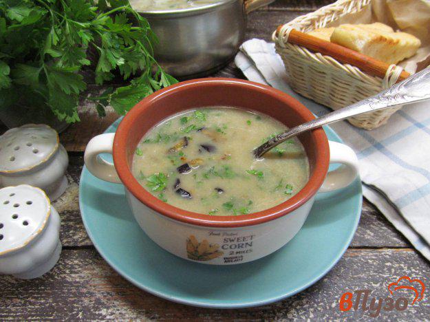 фото рецепта: Суп из баклажанов с нутом