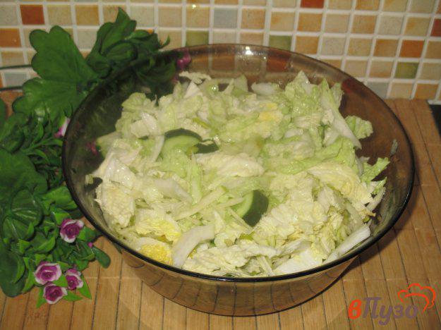 фото рецепта: Салат «Зеленый» с яблоком