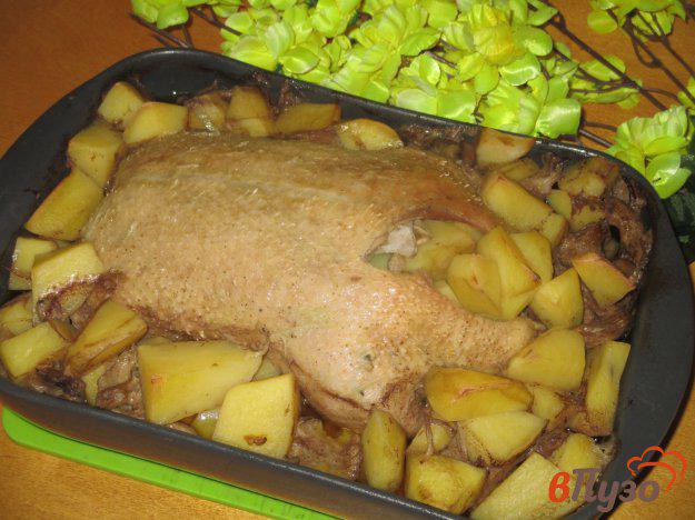 фото рецепта: Утка запеченная с картофелем и вешенками