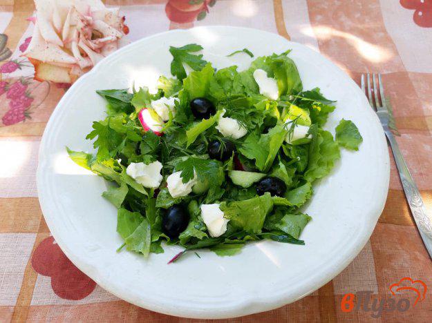 фото рецепта: Салат с рукколой редисом сливочным сыром и маслинами