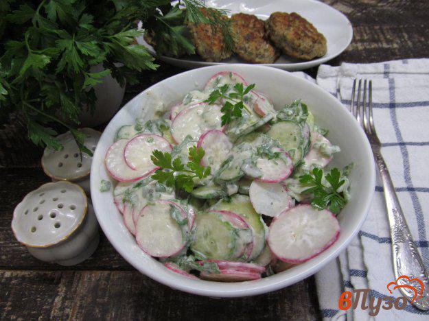 фото рецепта: Салат из огурца с редиской и ее листвой