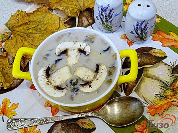 фото рецепта: Суп с шампиньонами и плавленым сыром