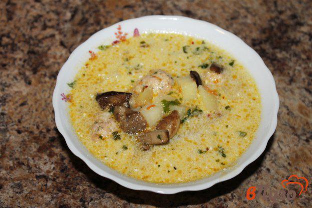 фото рецепта: Сливочный суп с фрикадельками и грибами
