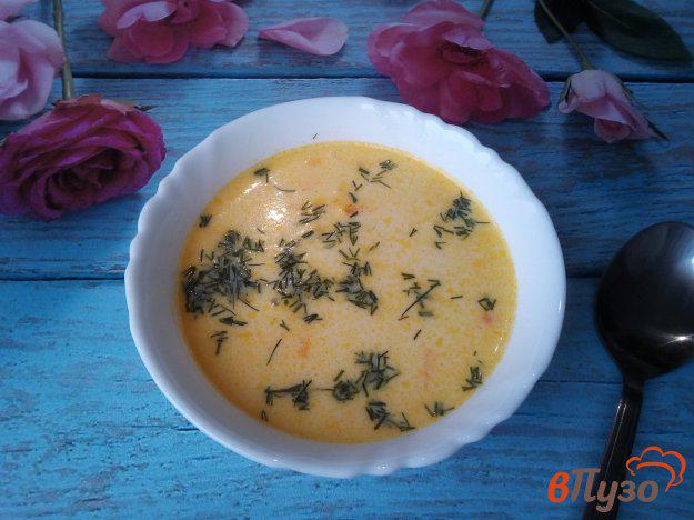 фото рецепта: Суп с плавленым сыром и вермишелью