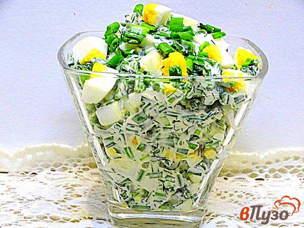 фото рецепта: Салат из зелёного лука яйца и укропа