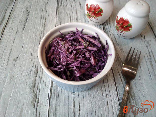 фото рецепта: Салат из краснокочанной капусты