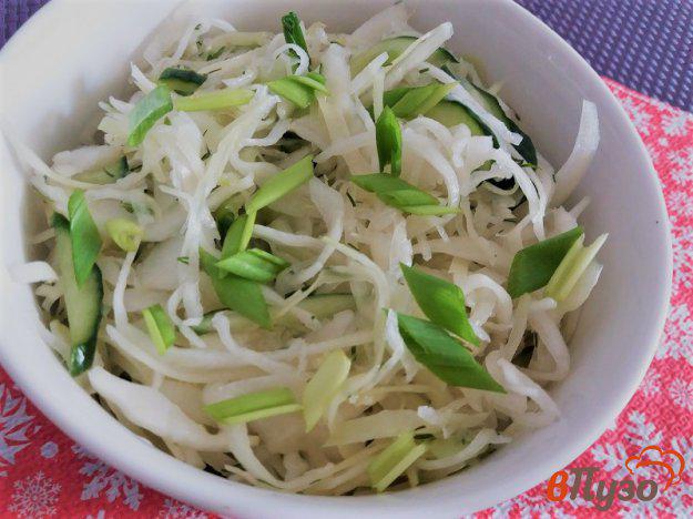 фото рецепта: Салат из свежей капусты и огурца с зеленым яблоком
