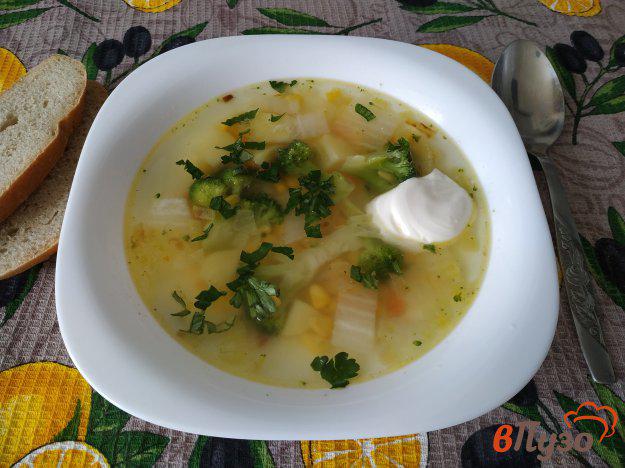 фото рецепта: Суп овощной на курином бульоне