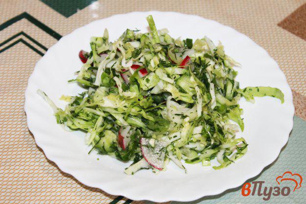 фото рецепта: Салат из молодой белокочанной капусты с редисом и зеленью