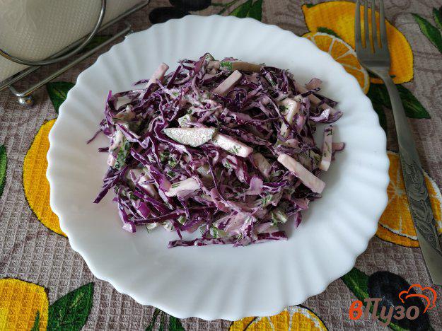 фото рецепта: Салат из краснокочанной капусты и адыгейского сыра