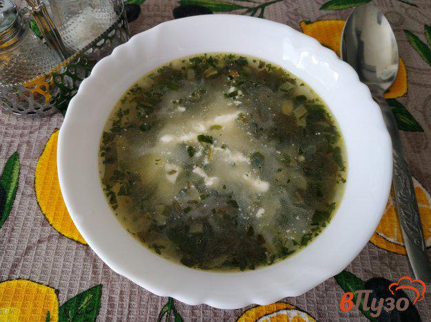 фото рецепта: Суп со шпинатом и щавелем на курином бульоне