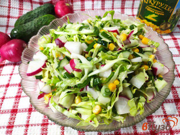 фото рецепта: Овощной салат с оливковым маслом