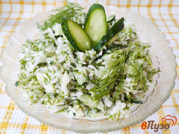 фото рецепта: Салат из капусты с чесноком и укропом