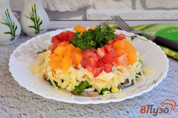 фото рецепта: Салат с селедкой сыром и помидорами