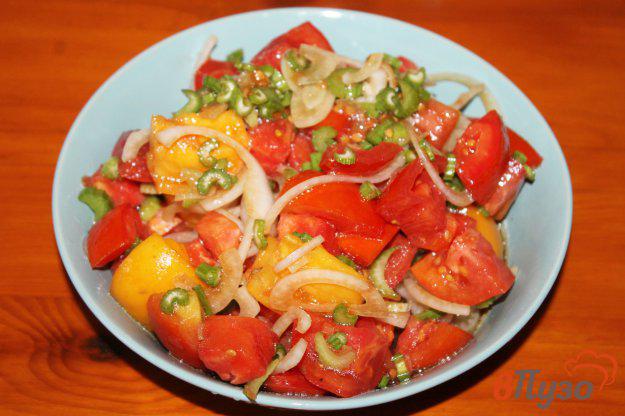 фото рецепта: Помидорный салат с луком сельдереем к мясу
