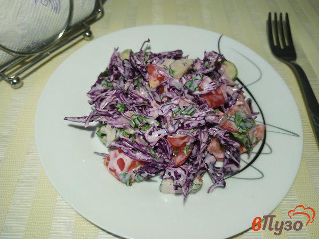 фото рецепта: Салат из краснокачанной капусты огурцов и помидоров