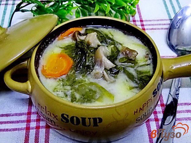 фото рецепта: Суп из вещенок шпината и плавленого сыра