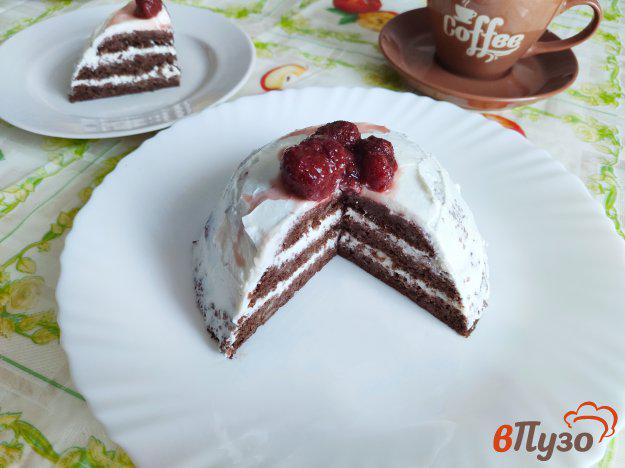 фото рецепта: Шоколадный тортик с творожным кремом в микроволновке