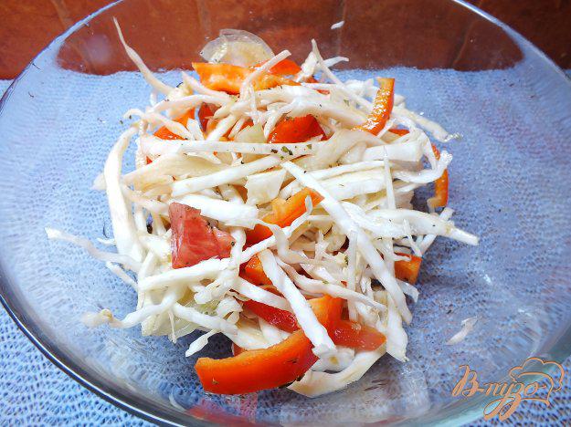 фото рецепта: Салат из белокочанной капусты с болгарским перцем